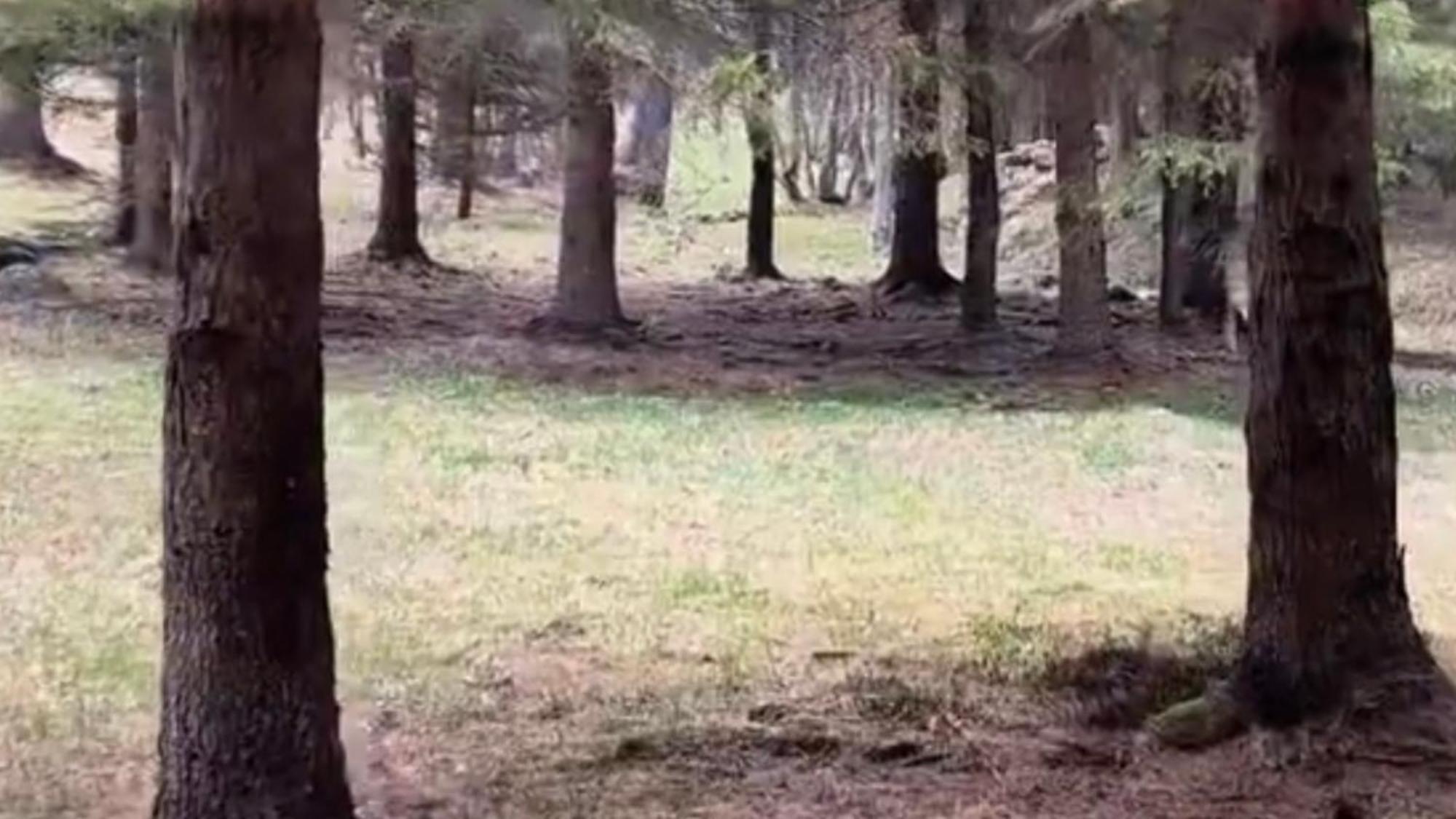 شقة Im Spiss ماكوجناجا المظهر الخارجي الصورة